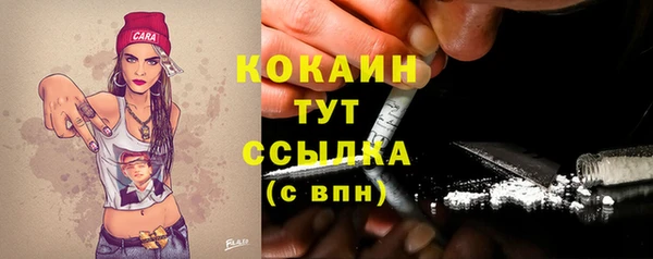 молекула духа Ростов