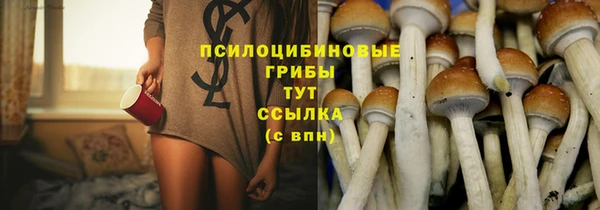 молекула духа Ростов