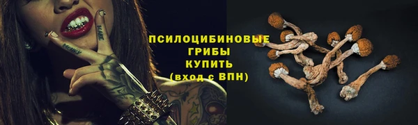 а пвп мука Михайлов